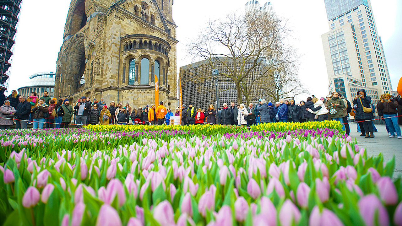 Tulpfenfest in Berlin