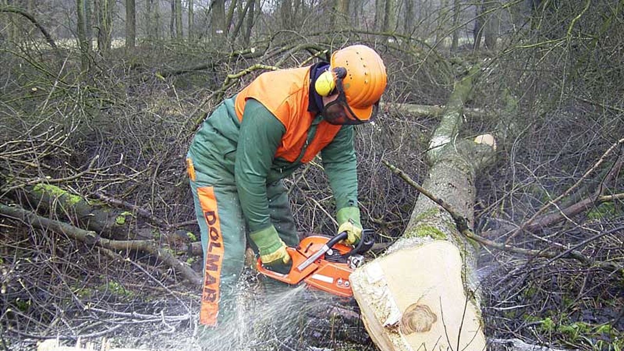 Umgang mit der Motorsäge