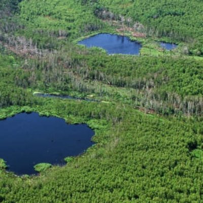 Naturerbefläche in Peenemünde