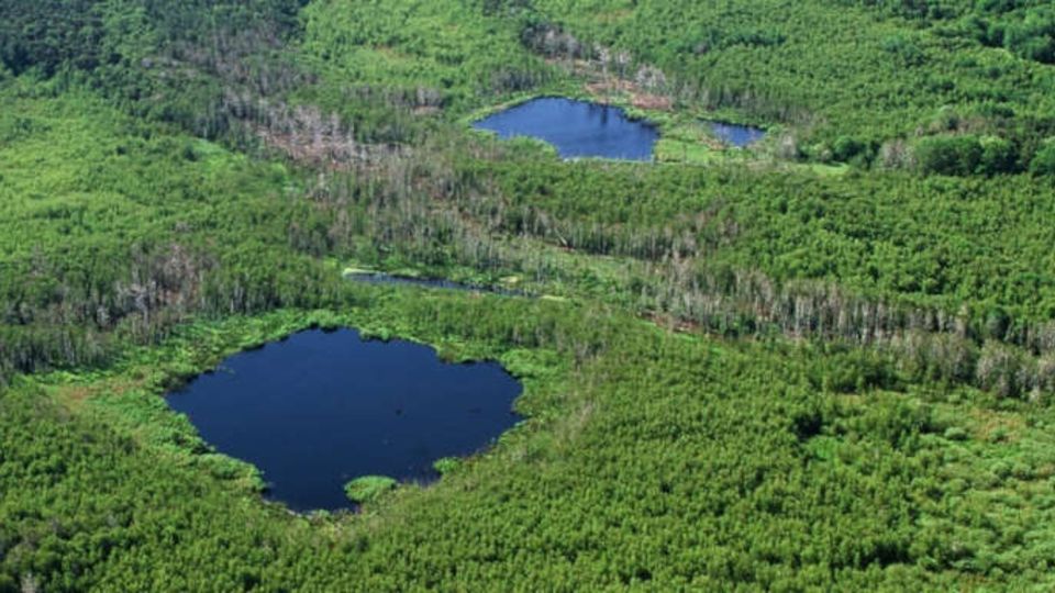 Naturerbefläche in Peenemünde