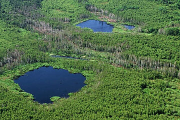 Naturerbefläche in Peenemünde