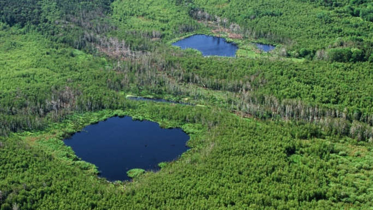 Naturerbefläche in Peenemünde