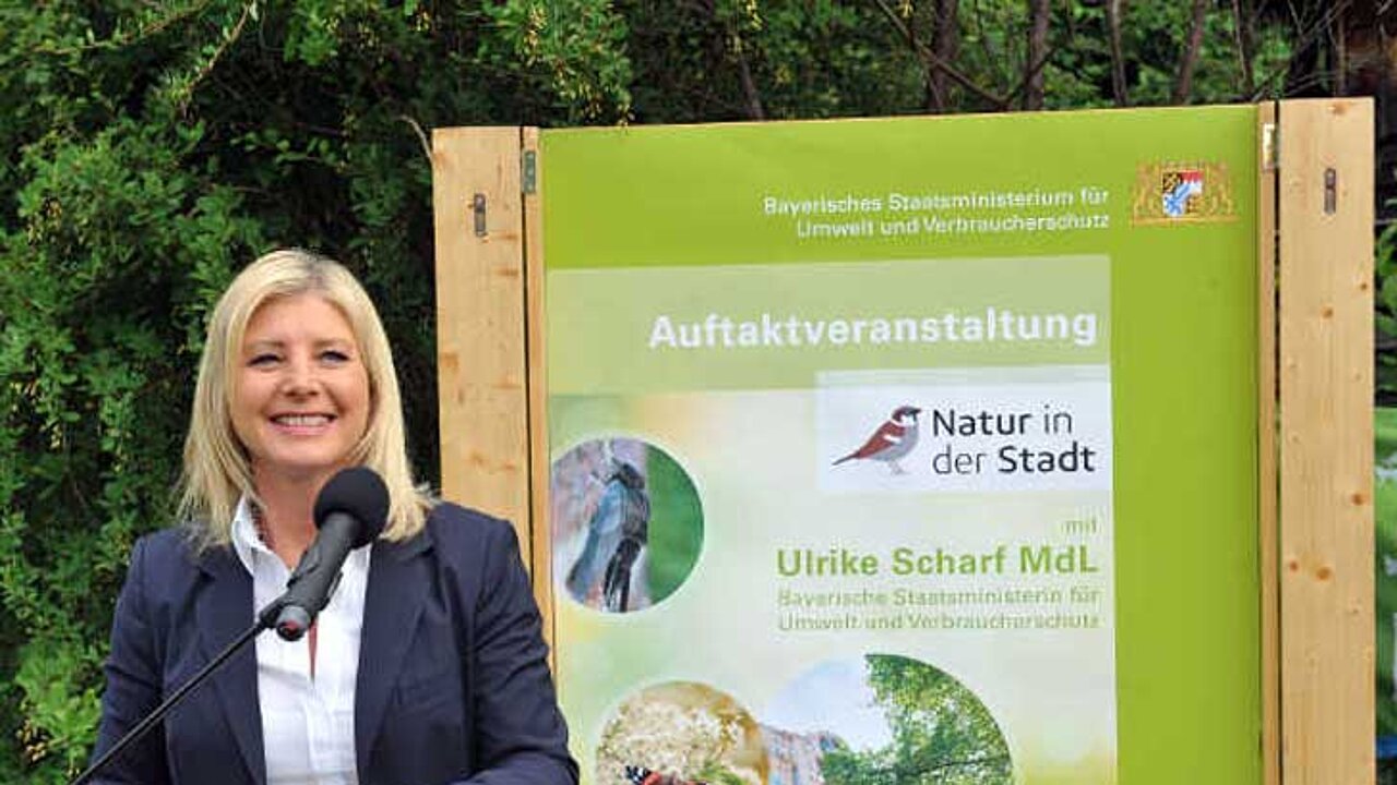 Ulrike Scharf