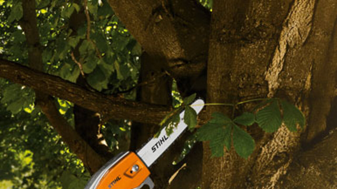 STIHL-Hoch-Entaster
