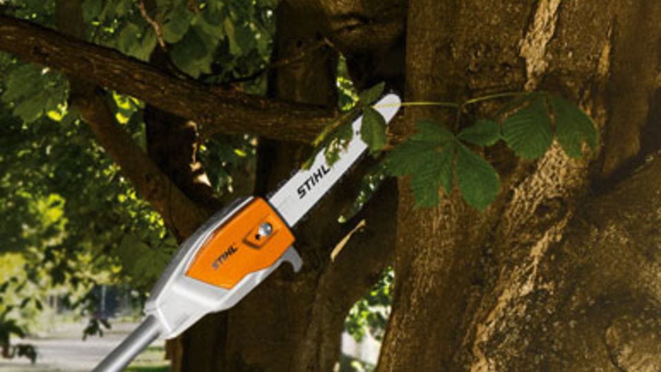 STIHL-Hoch-Entaster
