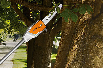 STIHL-Hoch-Entaster
