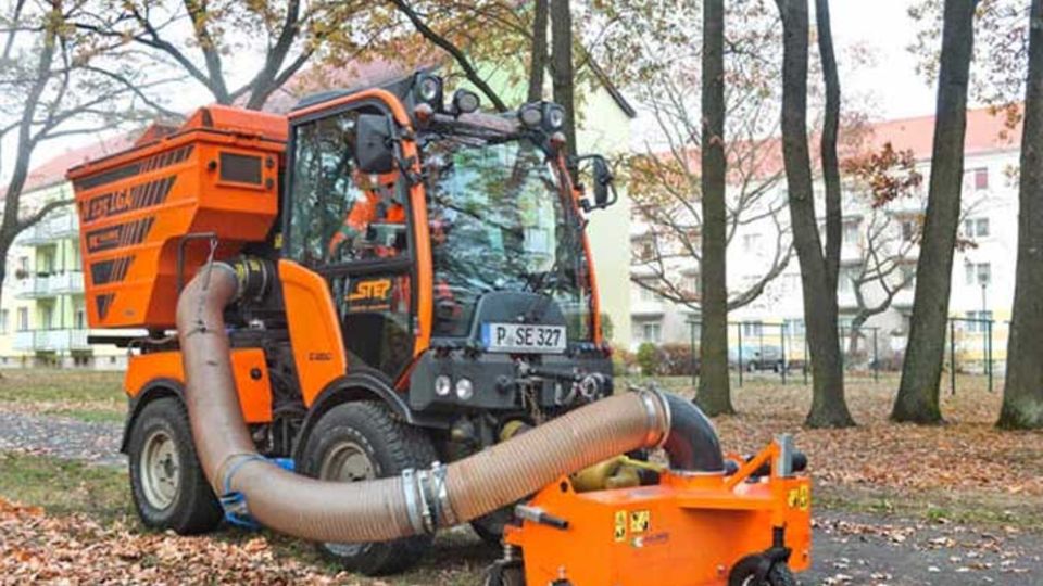 Laubbeseitigung