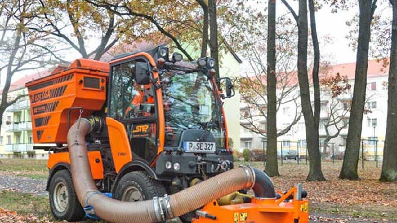 Laubbeseitigung