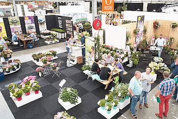 Übersicht Plantarium