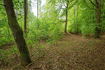 Image-11180