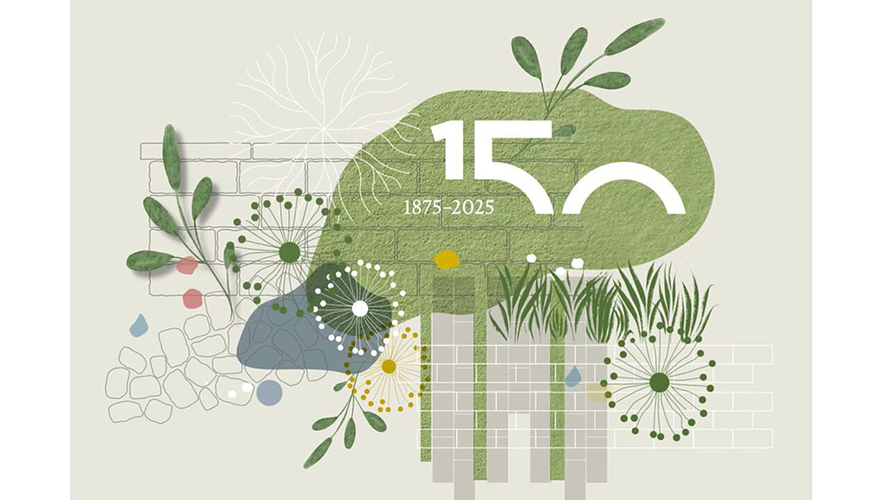 braun-steine 150 Jahre