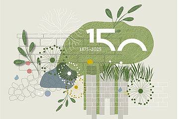 braun-steine 150 Jahre
