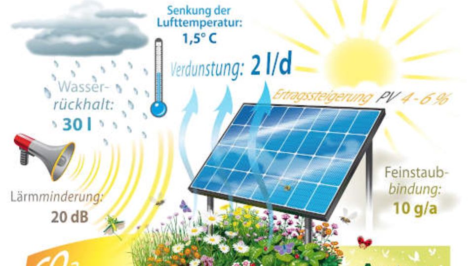 Abbildung