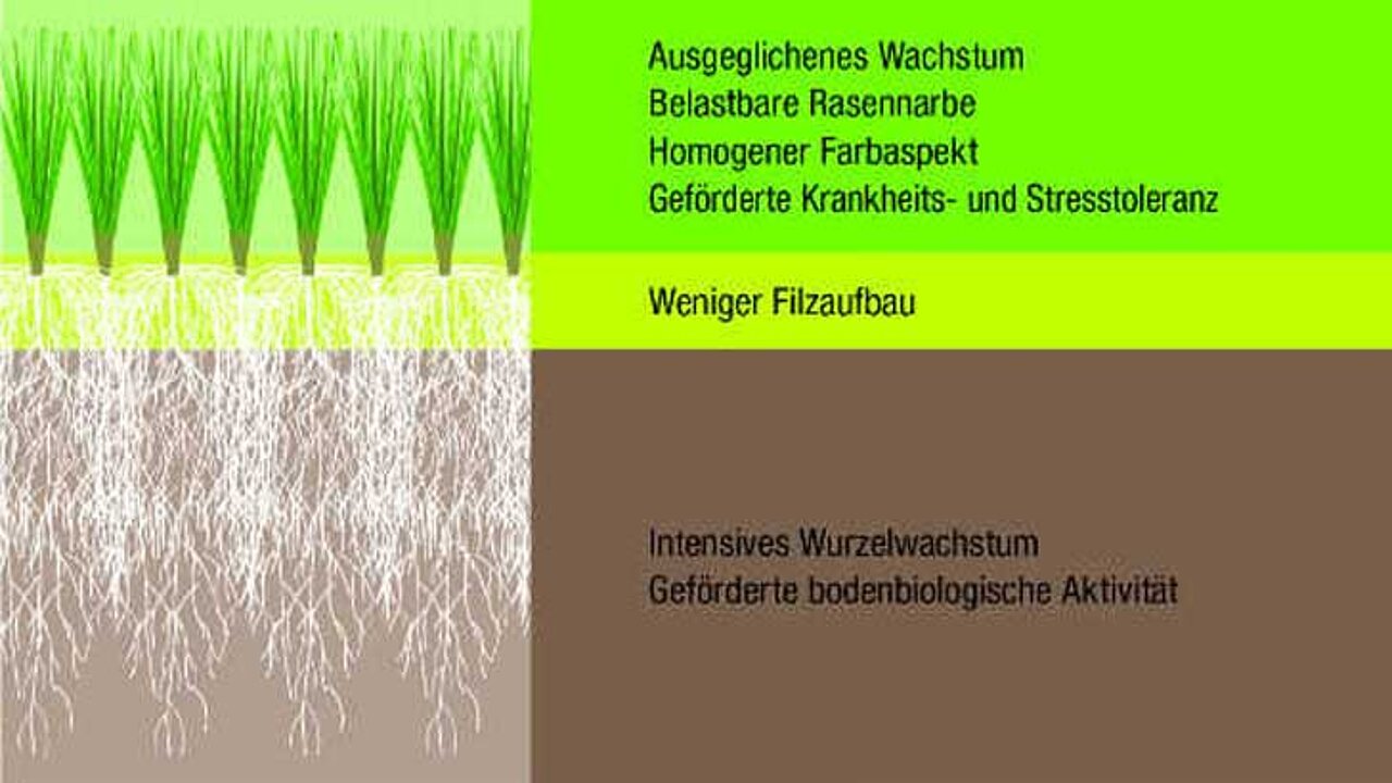 image-6409