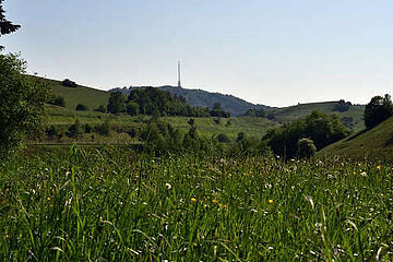 Image-14795