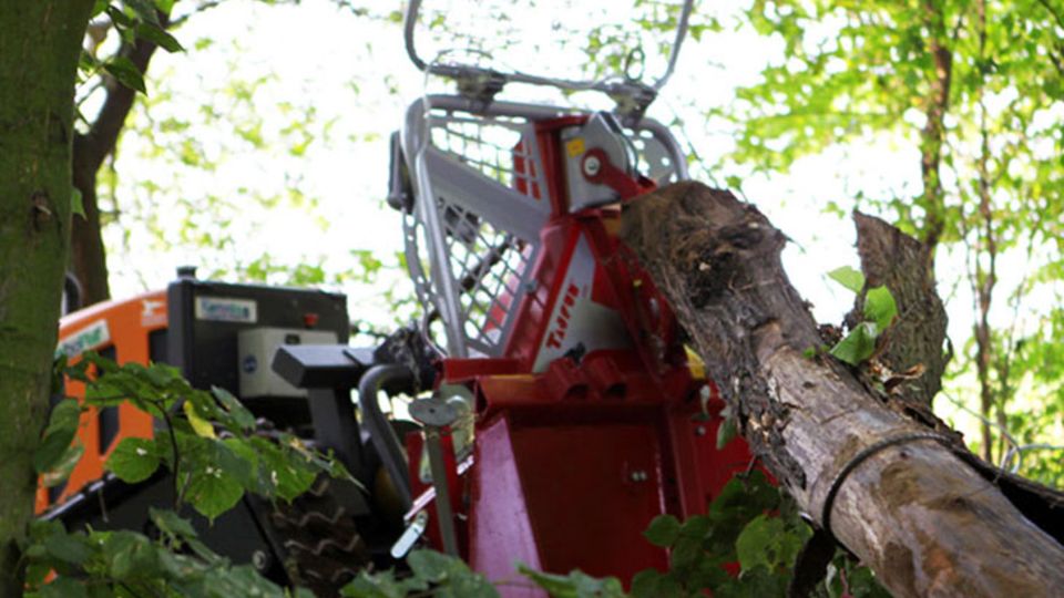 RoboFlail vario mit Rückeschild