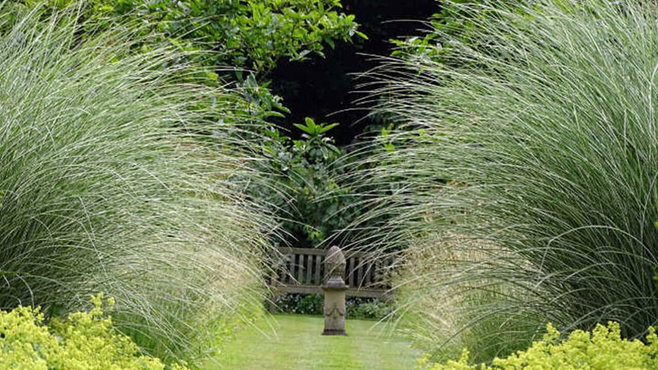 Gartengestaltung mit Gräsern
