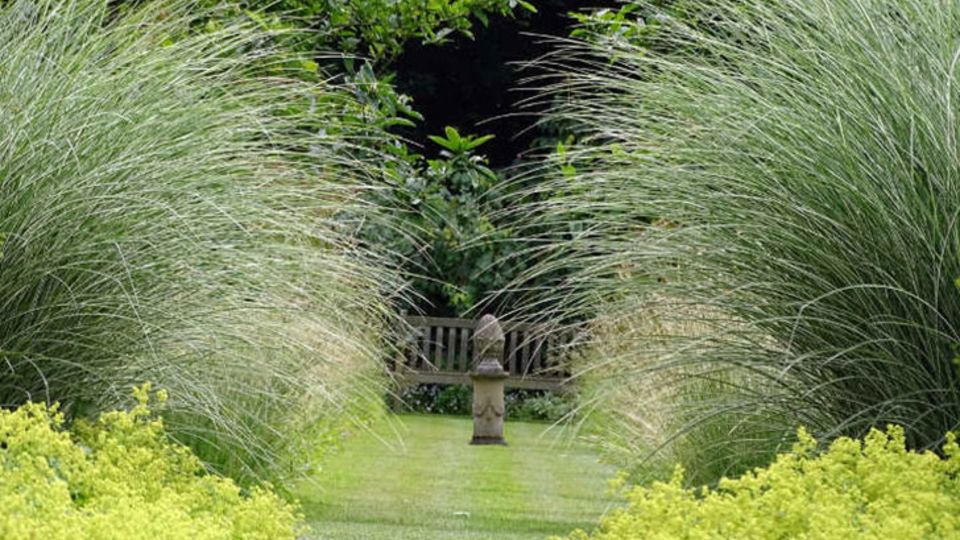 Gartengestaltung mit Gräsern