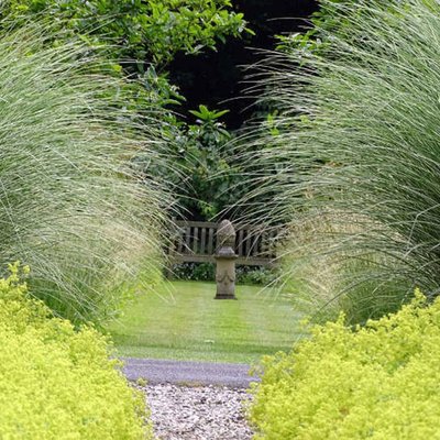 Gartengestaltung mit Gräsern