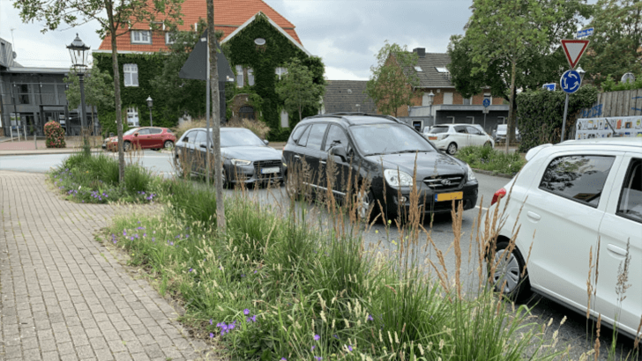 Bodendeckung