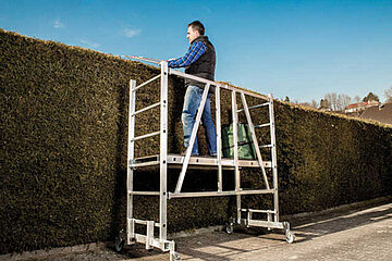 Image-11220