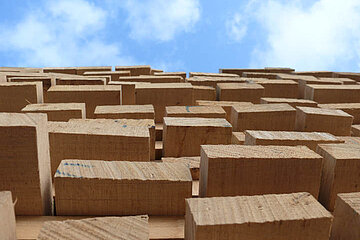 Konfliktholz