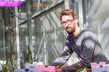 Hannes Seidel