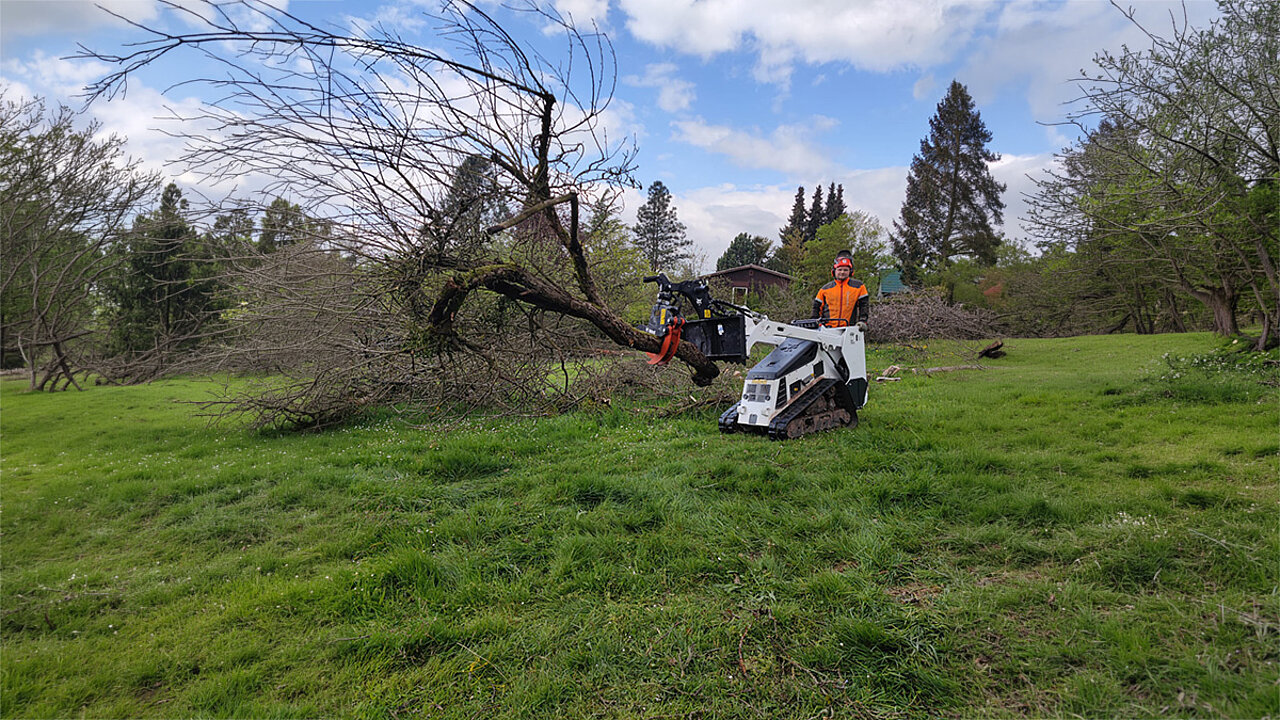 Bobcat MT100 Baumschere-Anbaugerät