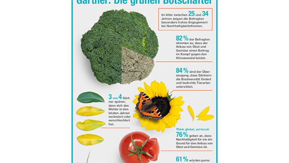 Infografik