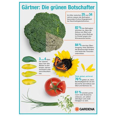 Infografik