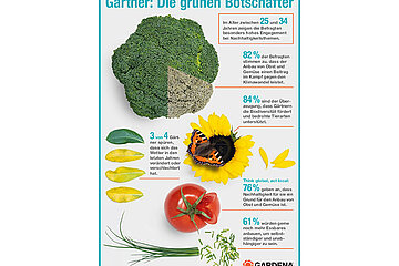 Infografik