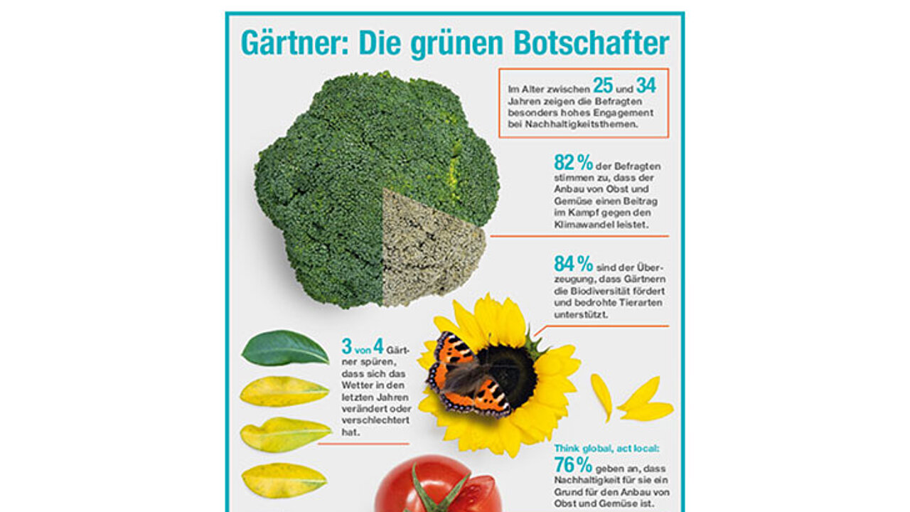 Infografik