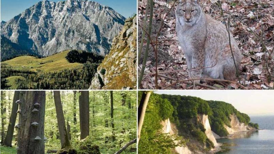Nationalpark