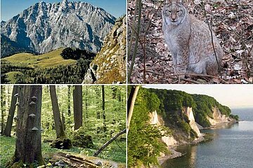 Nationalpark