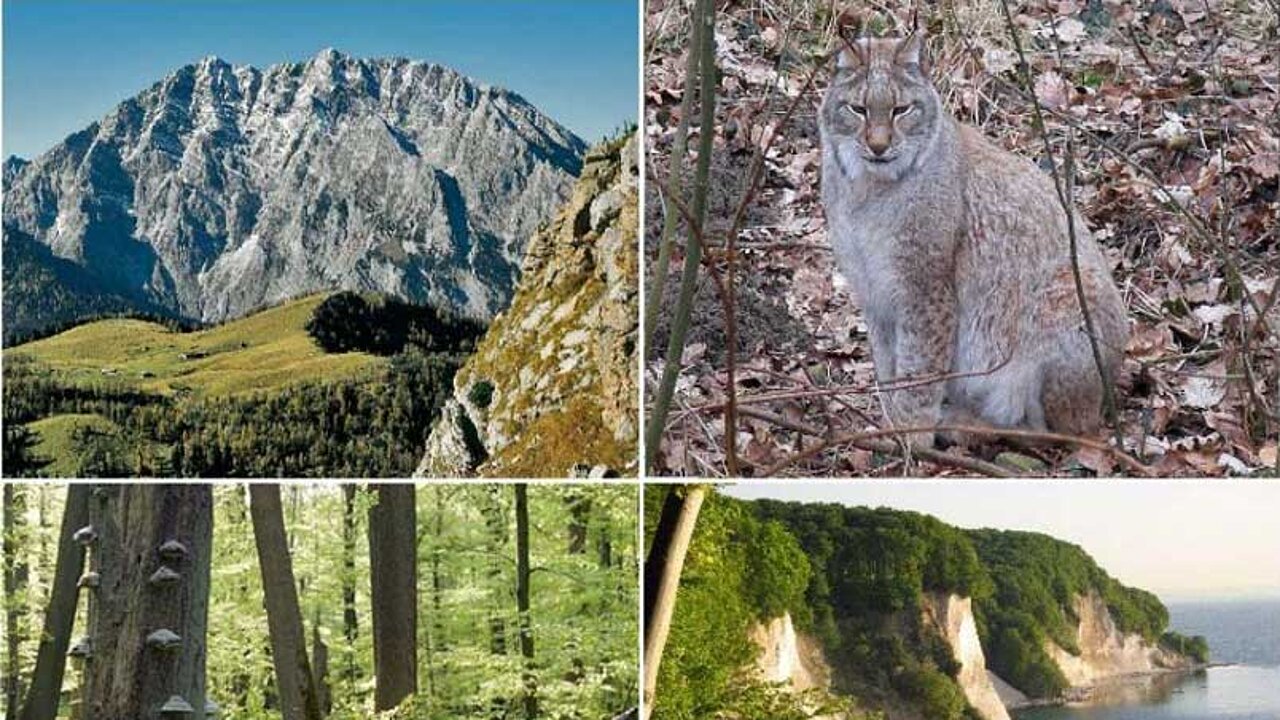 Nationalpark