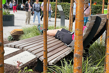 Image-13327