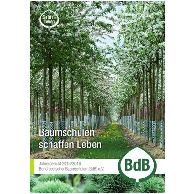 Jahresbericht