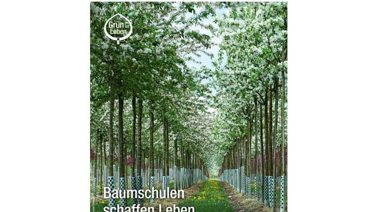 Jahresbericht