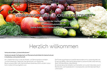 Lückenindikationen Internetauftritt