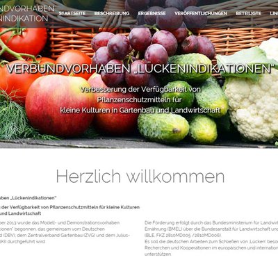 Lückenindikationen Internetauftritt