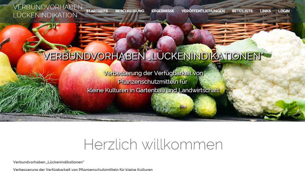 Lückenindikationen Internetauftritt