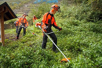 Universalgurt STIHL ADVANCE