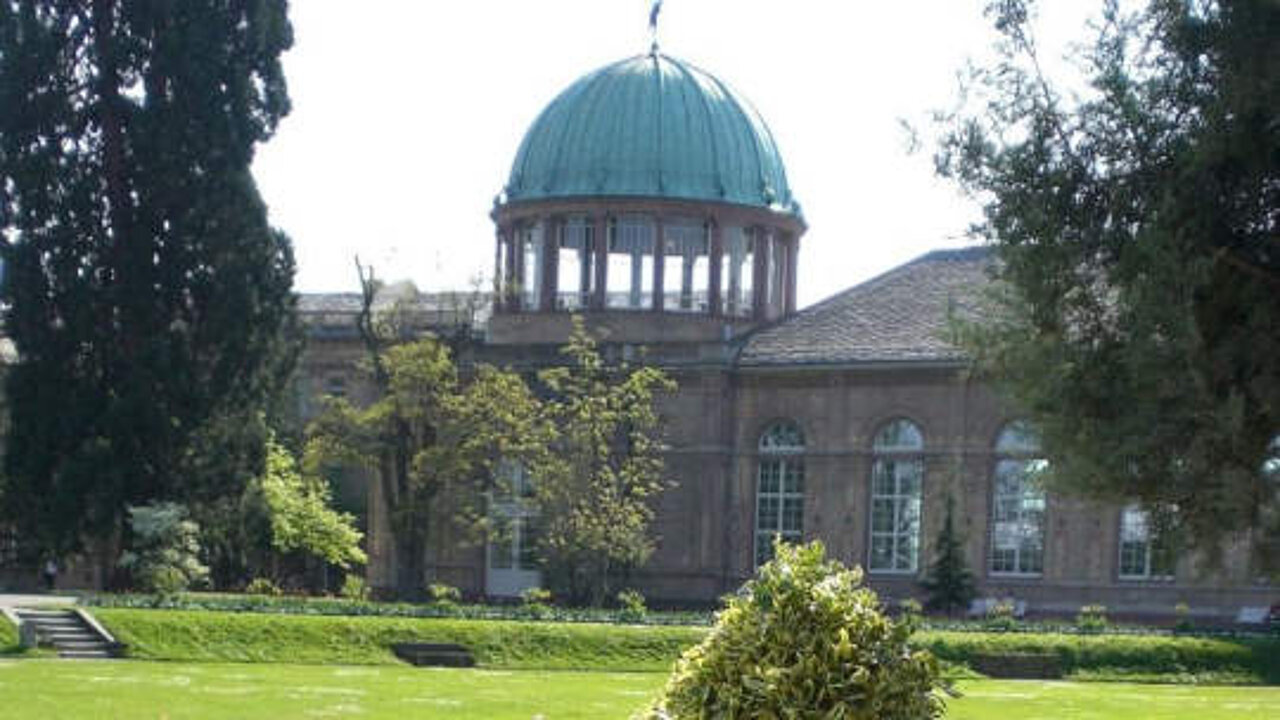 Botanischer Garten