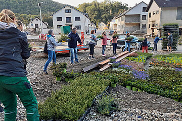 Image-13762