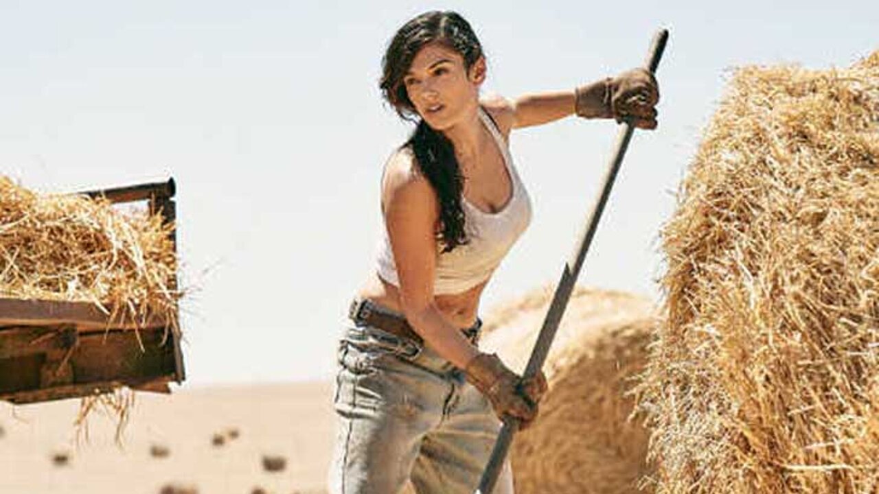 STIHL Kalender