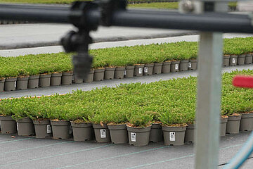 Image-16669