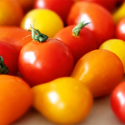 Tomatensaison