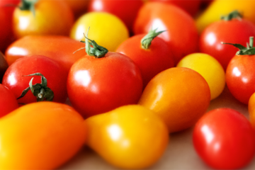 Tomatensaison