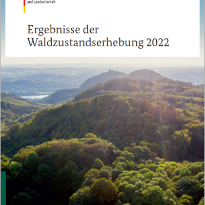Waldzustandserhebung