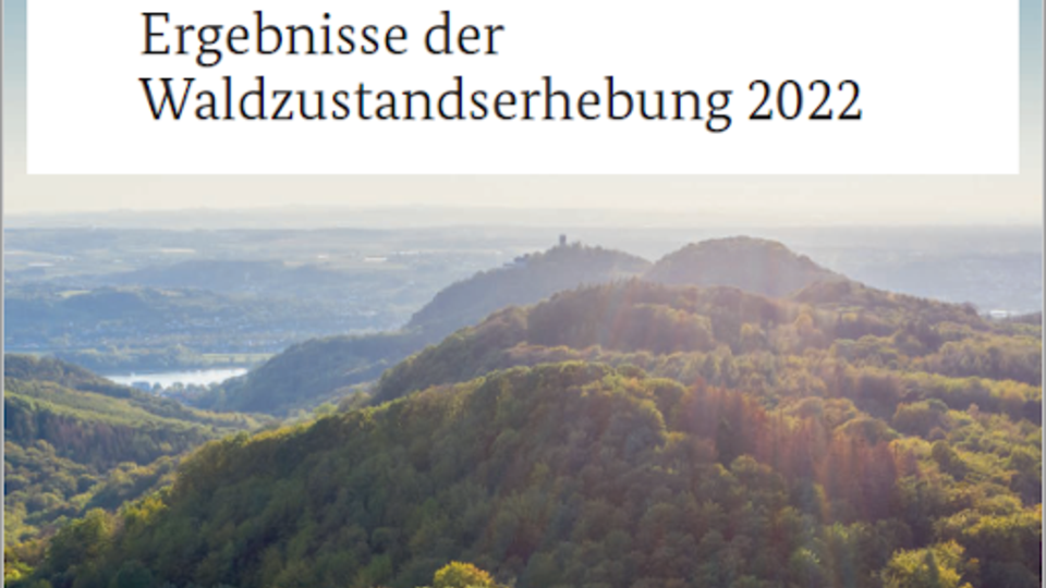 Waldzustandserhebung